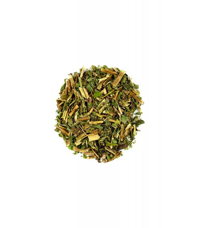 CHA Cidreira